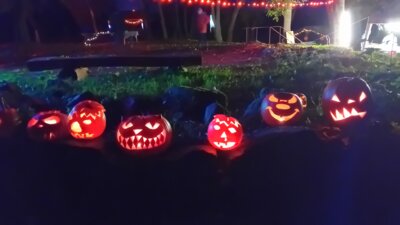Foto des Albums: Nacht der Kürbisse 2024