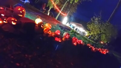 Foto des Albums: Nacht der Kürbisse 2024