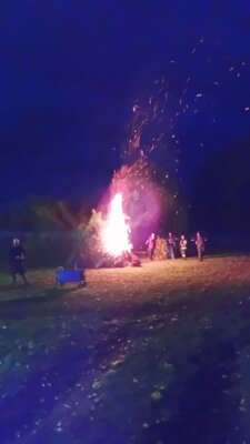 Foto des Albums: Nacht der Kürbisse 2024