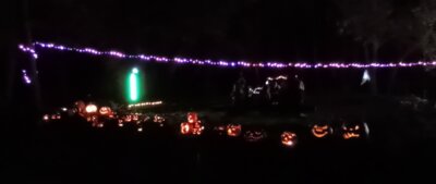 Foto des Albums: Nacht der Kürbisse 2024