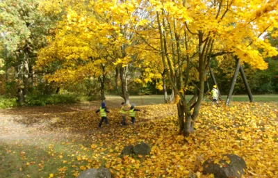 Besuch auf dem Spielplatz  (Bild vergr&ouml;&szlig;ern)