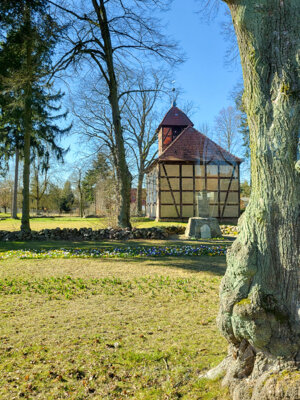 Foto des Albums: Sonnige Bustour durch die Ortsteile