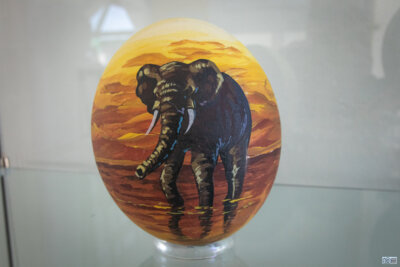 Foto des Albums: Ostern 2025 im Stadtmuseum