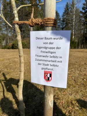 Foto des Albums: Baumpflanzaktion 2025
