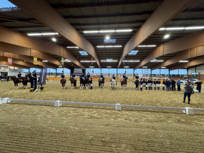 Foto des Albums: Steinhagen 2024