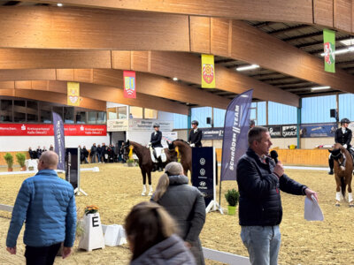 Foto des Albums: Steinhagen 2024