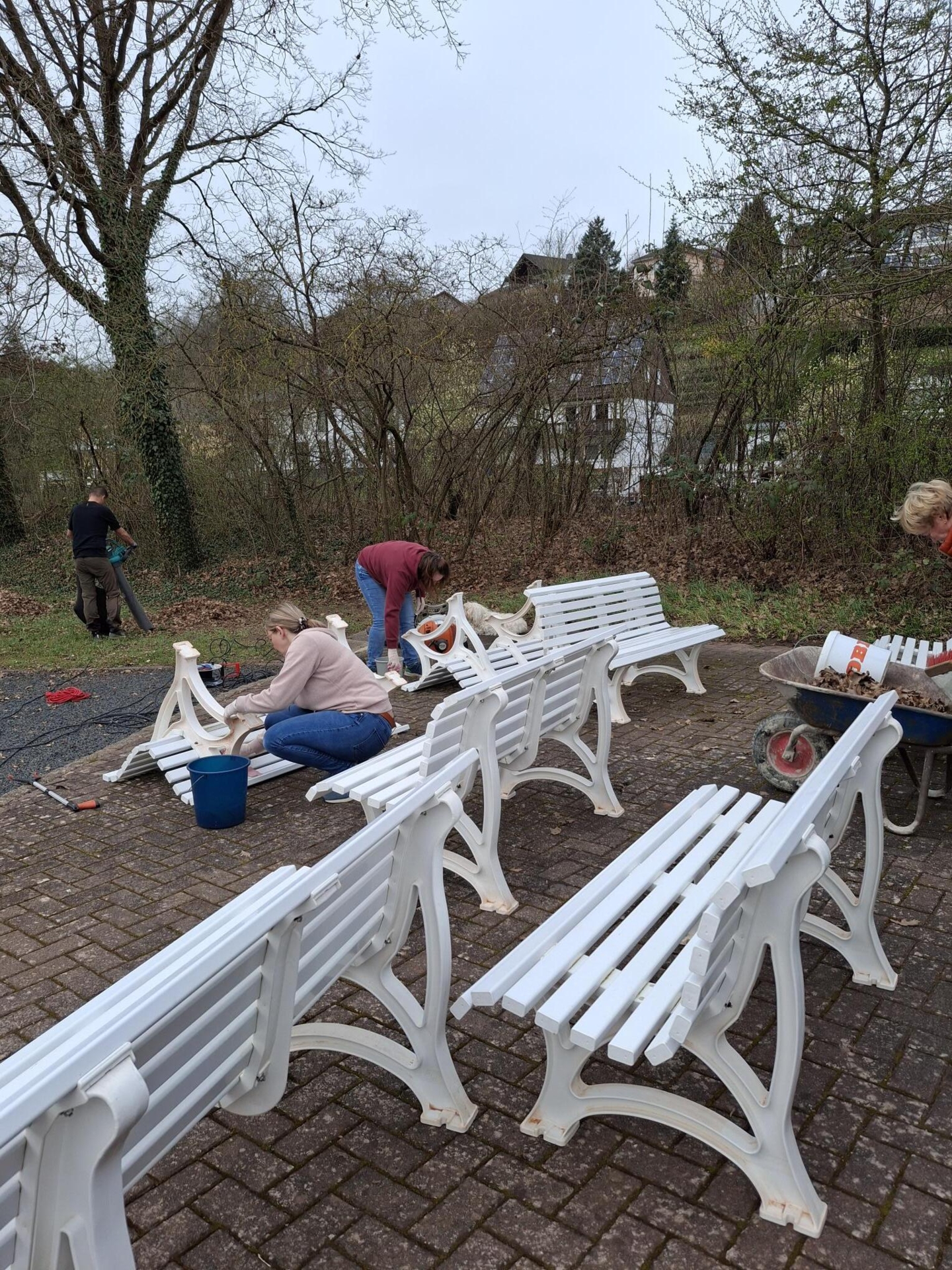 Bild der Galerie