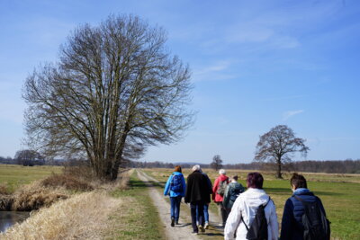 In freier Natur  (Bild vergr&ouml;&szlig;ern)
