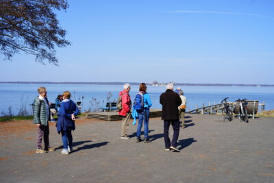 Steinhuder Meer  (Bild vergr&ouml;&szlig;ern)