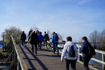 Steinhuder Meer - Promenade  (Bild vergr&ouml;&szlig;ern)