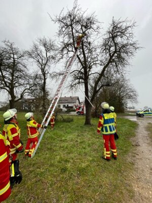 Foto des Albums: 20250324_TIER_Sielmingen