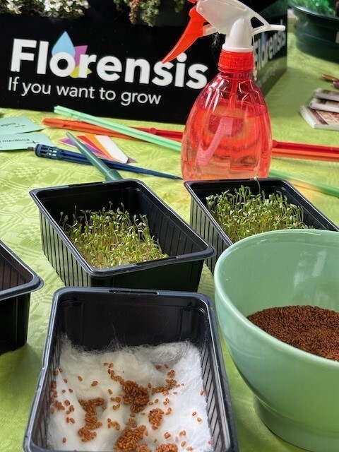 Bild: Azubi Messe 2025