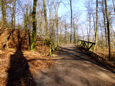 Auf dem R&uuml;ckweg  (Bild vergr&ouml;&szlig;ern)