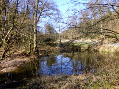 Der Wiengrundbach  (Bild vergr&ouml;&szlig;ern)