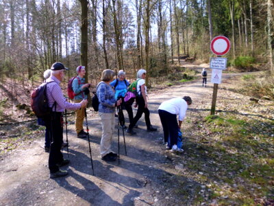 F&uuml;r uns freier Weg  (Bild vergr&ouml;&szlig;ern)