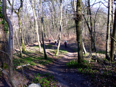 Der Kammweg  (Bild vergr&ouml;&szlig;ern)