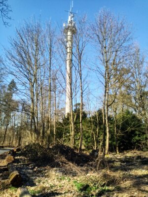 Sendemast auf dem Kl&uuml;th  (Bild vergr&ouml;&szlig;ern)