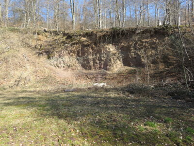 Gibt es hier Fossilien?  (Bild vergr&ouml;&szlig;ern)