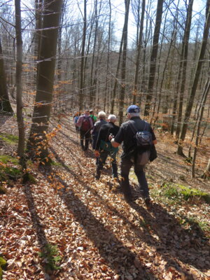 Auf dem Kammweg  (Bild vergr&ouml;&szlig;ern)