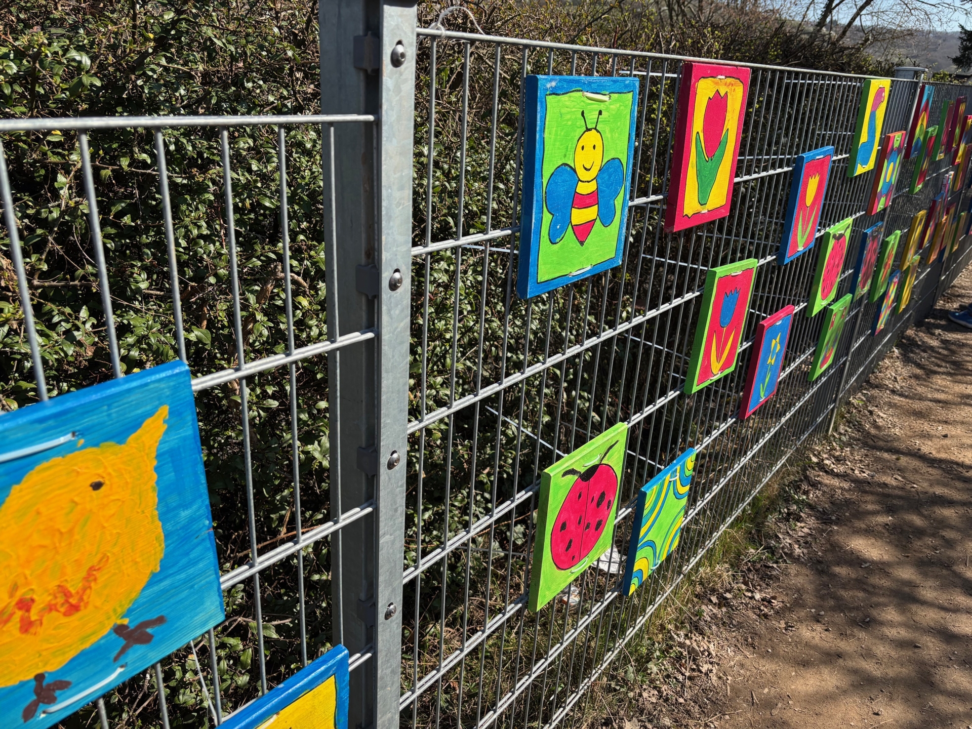 Bild der Galerie