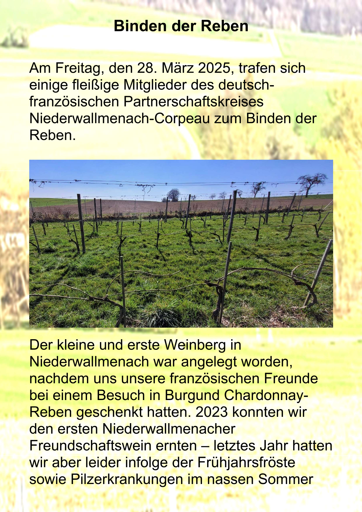 Bild: 0001