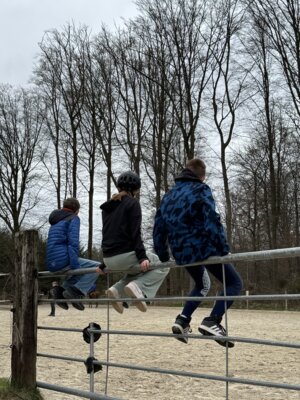 Foto des Albums: Fotos der Reit-AG