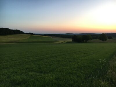 Morgentau  (Bild vergr&ouml;&szlig;ern)