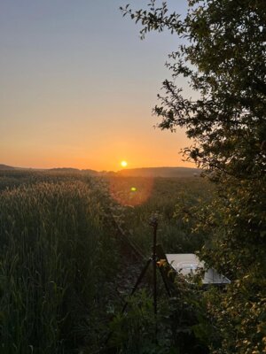 Sonnenaufgang  (Bild vergr&ouml;&szlig;ern)