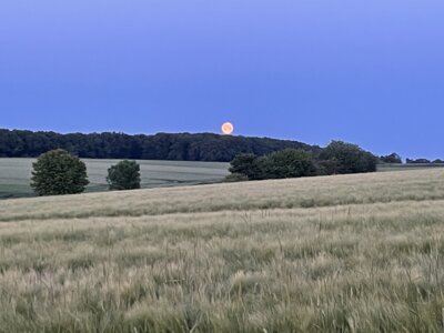 untergehender Mond  (Bild vergr&ouml;&szlig;ern)