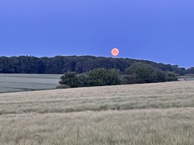 untergehender Mond  (Bild vergr&ouml;&szlig;ern)