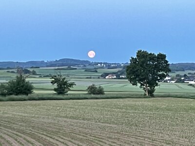 untergehender Mond  (Bild vergr&ouml;&szlig;ern)