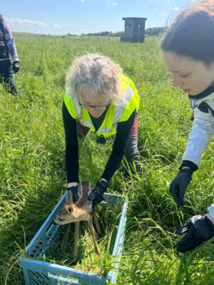 Helfer im Einsatz  (Bild vergr&ouml;&szlig;ern)
