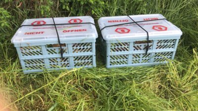 2 gef&uuml;llte Boxen  (Bild vergr&ouml;&szlig;ern)