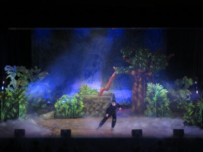 Foto des Albums: Dschungelbuch-das Musical