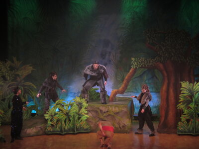 Foto des Albums: Dschungelbuch-das Musical