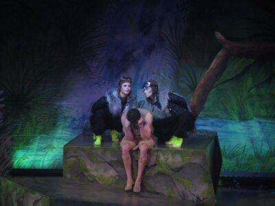 Foto des Albums: Dschungelbuch-das Musical