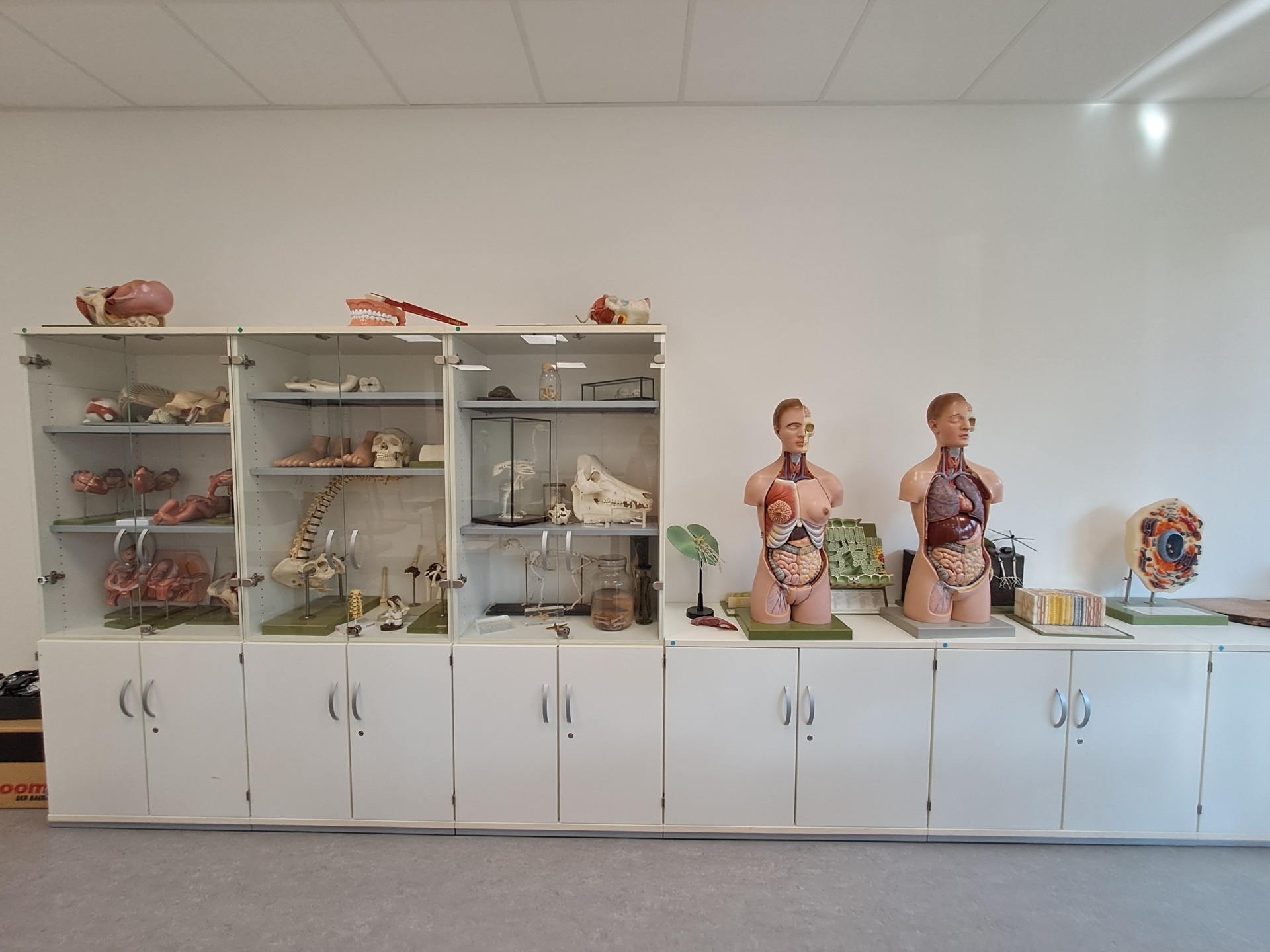 Bild: Biologieraum 2