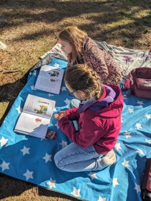 Foto des Albums: Lesepicknick 2025