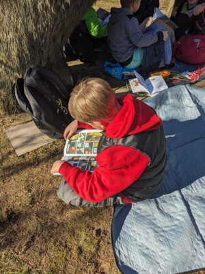 Foto des Albums: Lesepicknick 2025