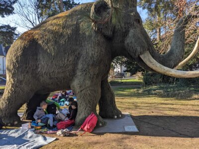 Foto des Albums: Lesepicknick 2025