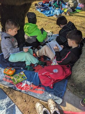 Foto des Albums: Lesepicknick 2025