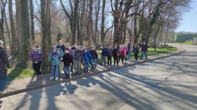 Foto des Albums: Projektwoche in allen Klassen