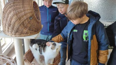 Foto des Albums: Projektwoche in allen Klassen