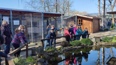 Foto des Albums: Projektwoche in allen Klassen