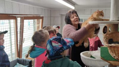 Foto des Albums: Projektwoche in allen Klassen