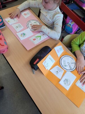 Foto des Albums: Projektwoche in allen Klassen