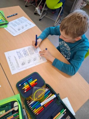 Foto des Albums: Projektwoche in allen Klassen