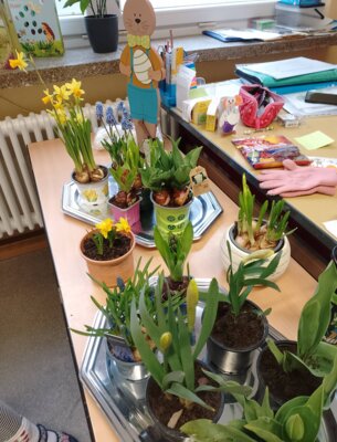 Foto des Albums: Projektwoche in allen Klassen
