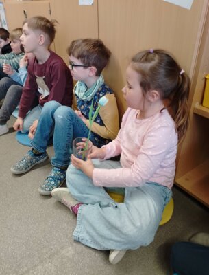 Foto des Albums: Projektwoche in allen Klassen