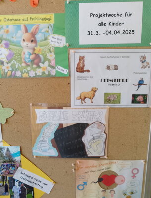 Foto des Albums: Projektwoche in allen Klassen